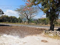Terreno en Venta y Renta, Monjas Jalapa 