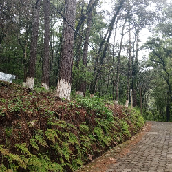 Venta de Terreno en Labor de Castilla, Mixco.