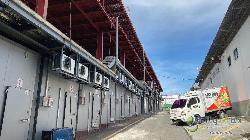 RENTA DE BODEGAS CONGELADAS Y REFRIGERADOS COMERCIALES 