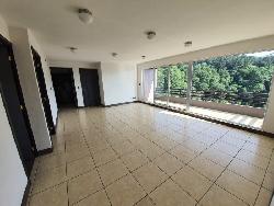 Apartamento en Renta Zona  16