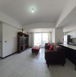 Apartamento en Renta y Venta en Vistas de la Floresta 