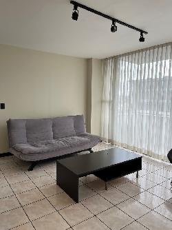 APARTAMENTO AMUEBLADO RENTA ZONA 9 GUATEMALA