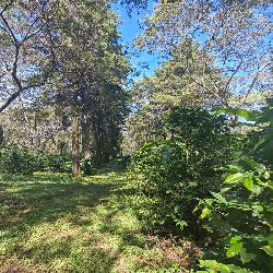 Finca de 155 mz con cafè en venta en Fraijanes