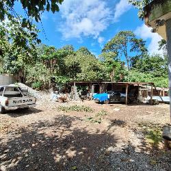 Terreno comercial en renta Carretera a Piedra Parada