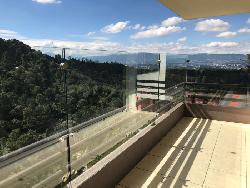 Apartamento en Renta Zona  16