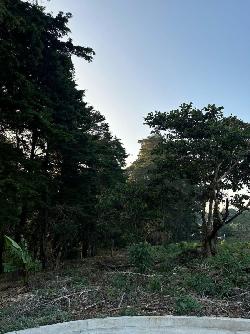 En Venta terreno Casa & Campo Carretera a El Salvador 