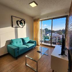 Apartamento Amueblado en Alquiler Zona 14 Guatemala