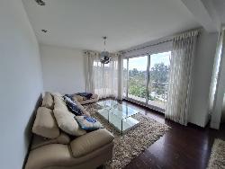 Apartamento en Renta ubicado en Caledonia zona 16