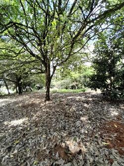 Terreno residencial en venta en Santa Catarina Pinula 