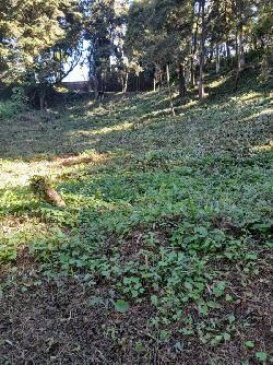 Terreno en Venta La Hondonada Santa Catarina Pinula