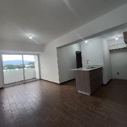 Apartamento en renta zona 12 avenida Petapa