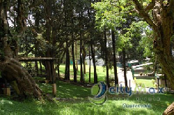 APARTAMENTO EN RENTA CARRETERA A EL SALVADOR 