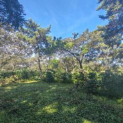 Finca de 155 mz con cafè en venta en Fraijanes