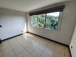 Apartamento en Renta Zona  16