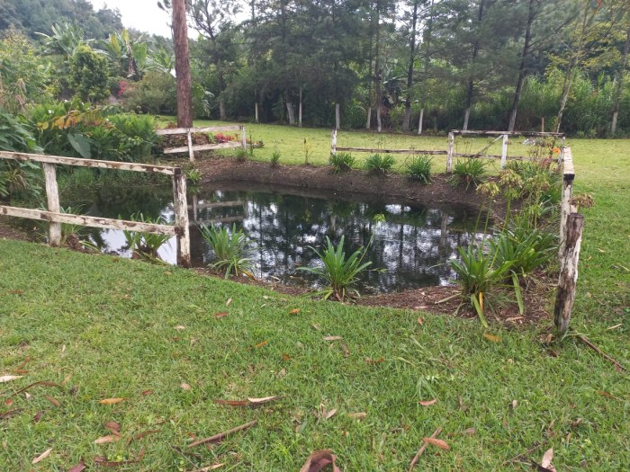 Alquiler de casa y terreno en Alta Verapaz Guatemala