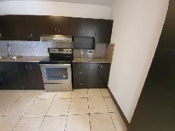 Apartamento en Renta Zona  16