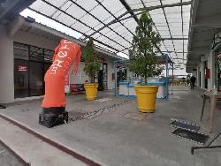 Locales comerciales en USAC zona 12