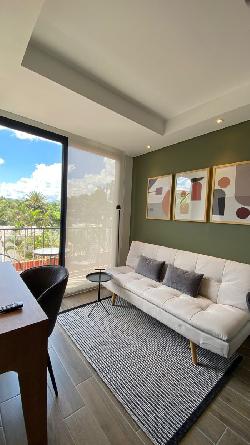 Apartamento amueblado en Venta Avenida Las Americas