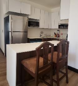 Apartamento Amueblado en Zona 10 ALQUILER