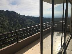 Apartamento en Renta Zona  16