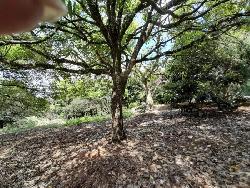 Terreno residencial en venta en Santa Catarina Pinula 