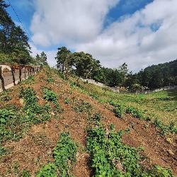 Terreno comercial en alquiler en Santa Catarina Pinula 