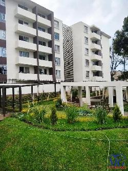 ALQUILO APARTAMENTO EN ZONA 13