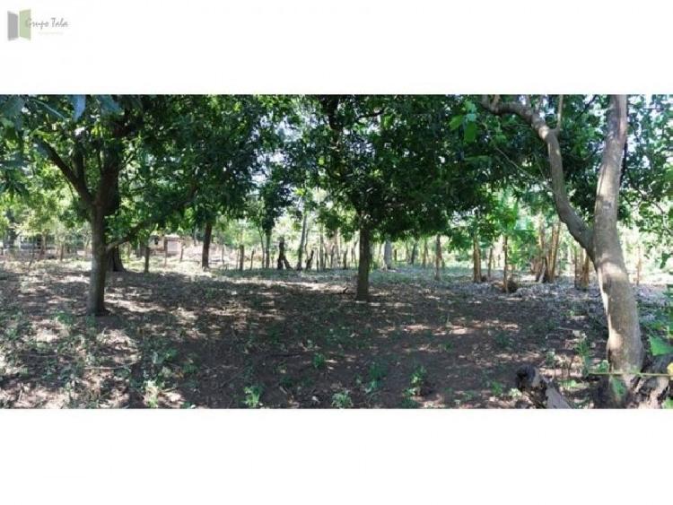 Finca en Venta en  Guanagazapa Escuintla