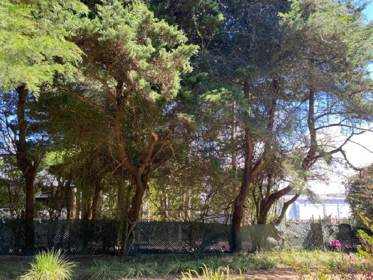 Terreno residencial en condominio de Fraijanes 