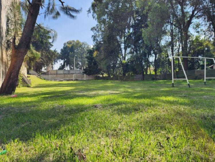 Bodega con Terreno en Renta San Lucas, Interamericana