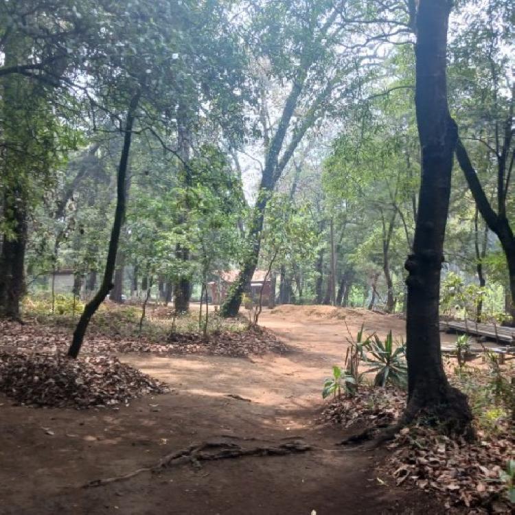 Terreno Comercial en Renta en Carretera Interamericana