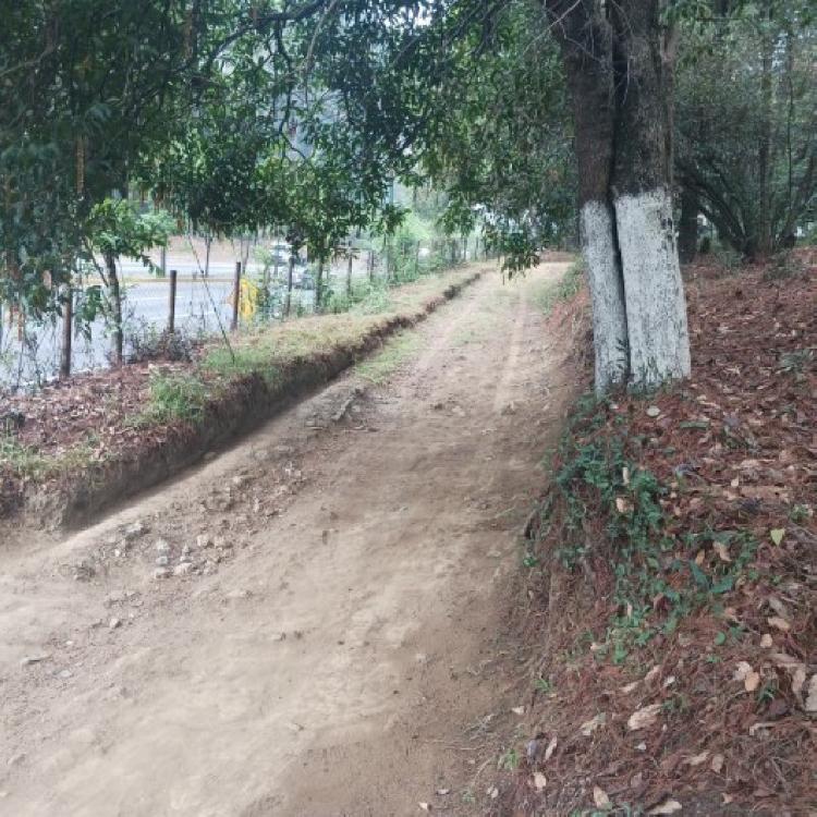 Terreno Comercial en Renta en Carretera Interamericana