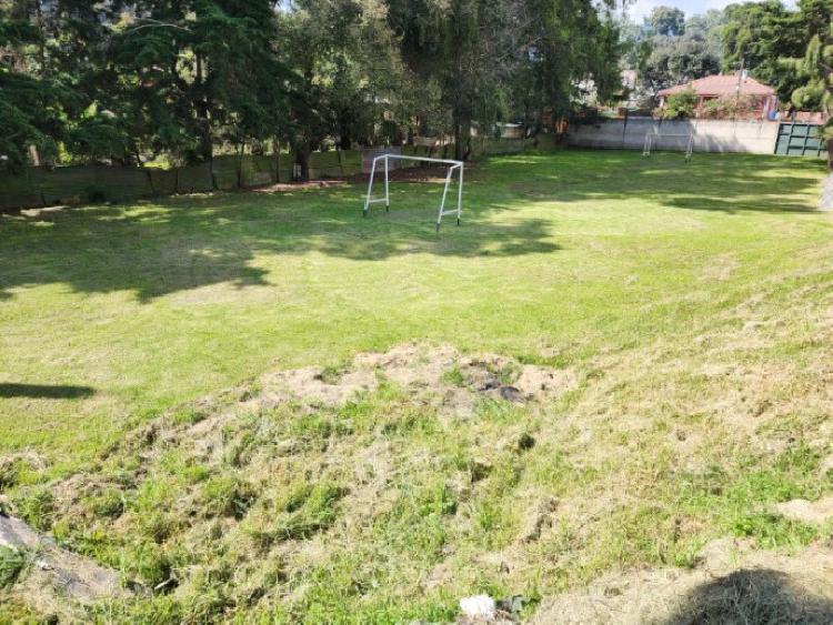 Bodega con Terreno en Renta San Lucas, Interamericana