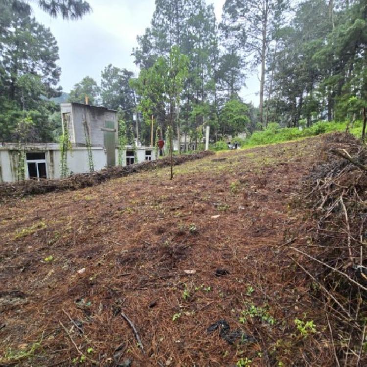 Terreno en Venta Hacienda Manzanales Santa María Cauque