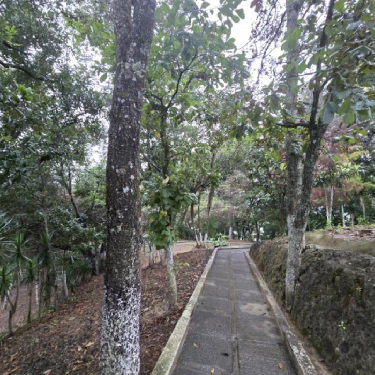 Casa en Renta Montaña de Minerva Z.11 Mixco, Un Nivel