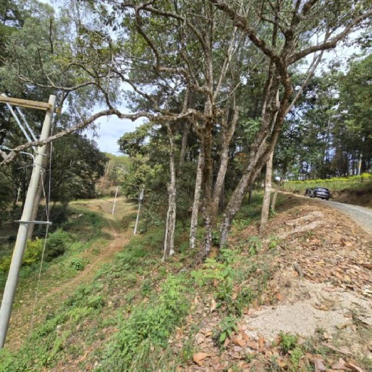 Terreno en Venta Los Horizontes Santo Domingo Xenacoj