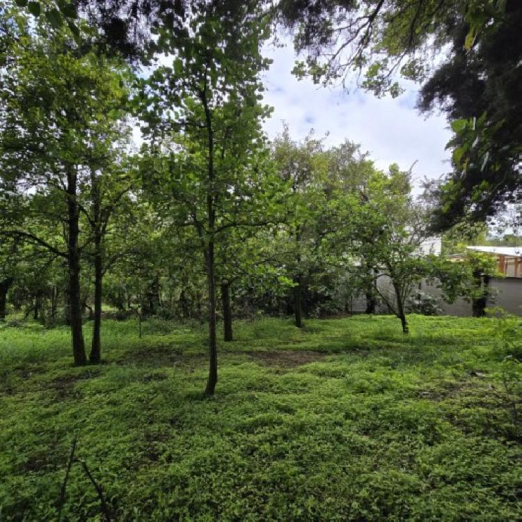 Terreno Comercial en Renta San Bartolomé Milpas Altas  