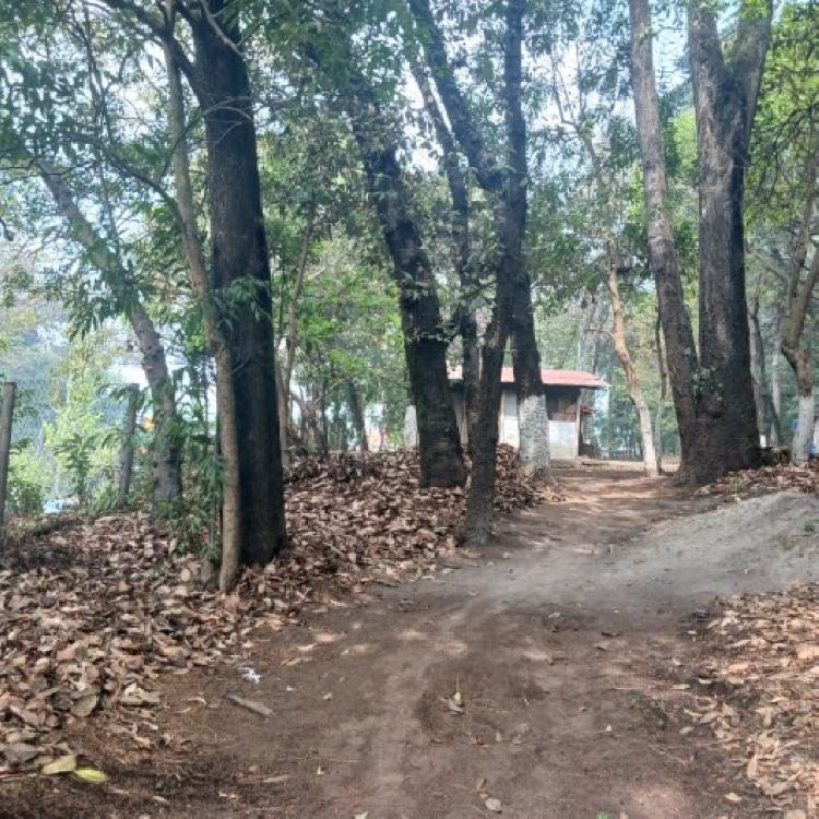 Terreno Comercial en Renta en Carretera Interamericana