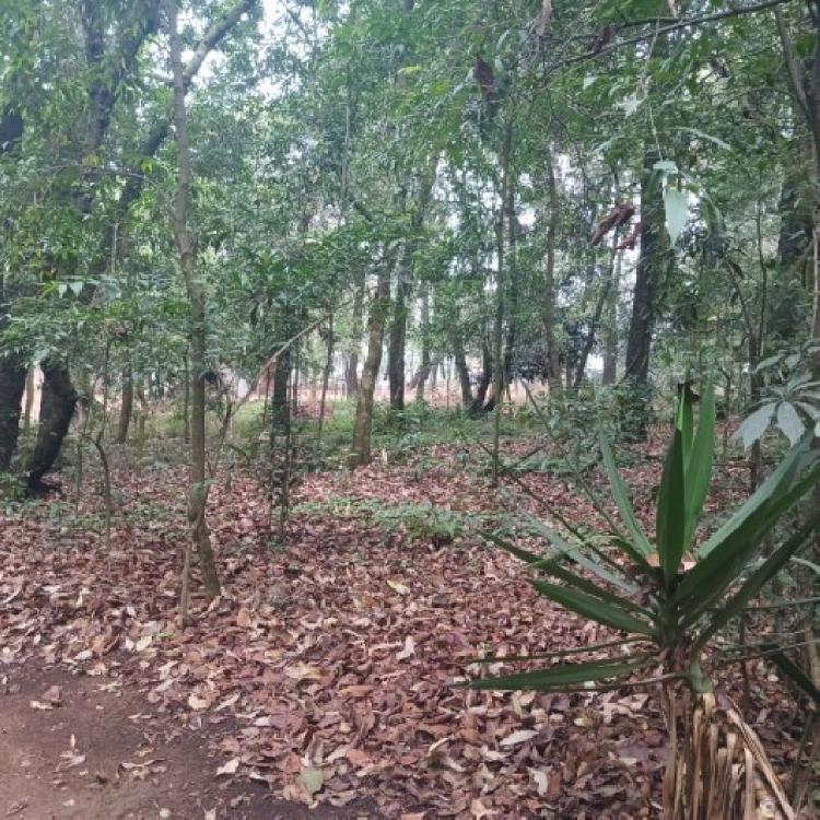 Terreno Comercial en Renta en Carretera Interamericana