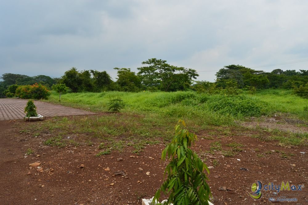 Terreno en Venta en Carretera a Taxisco Escuintla
