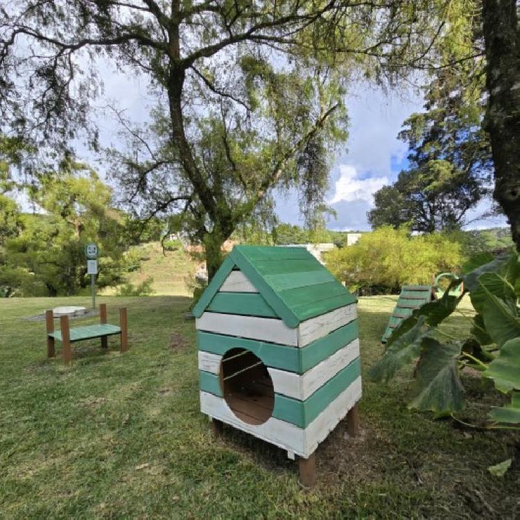 Apartamento en Renta Carretera a El Salvador BARI Aptos