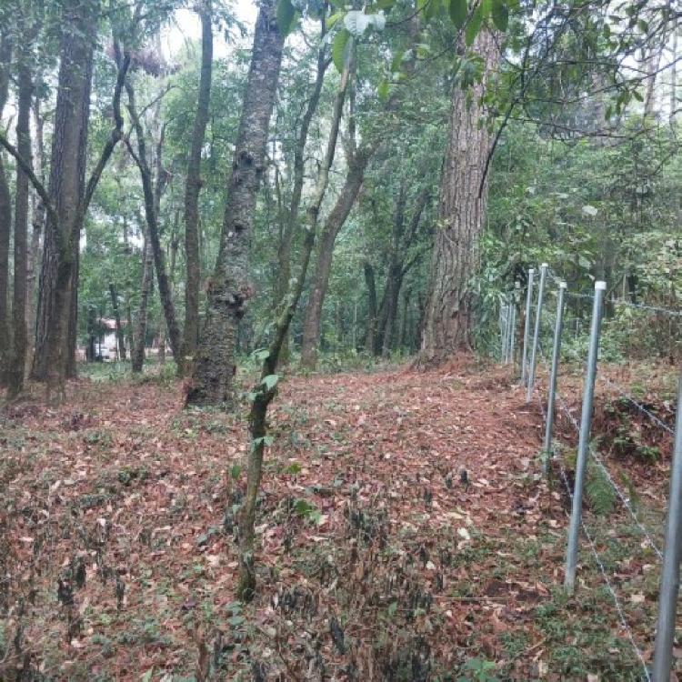 Terreno Comercial en Renta en Carretera Interamericana