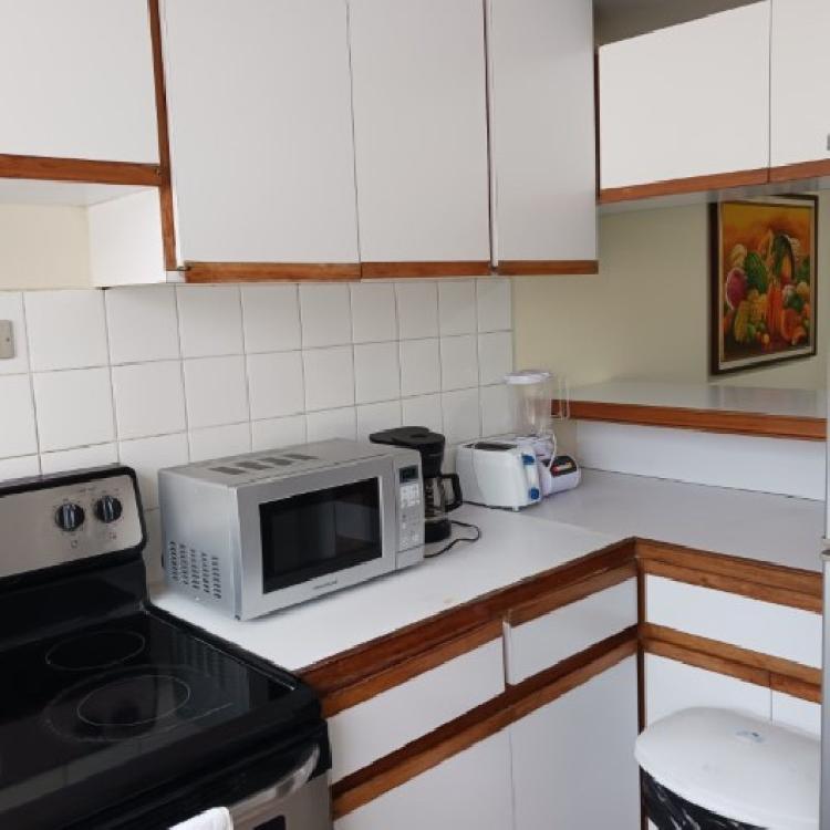 Apartamento Amueblado en Renta Zona 9 Ciudad Guatemala