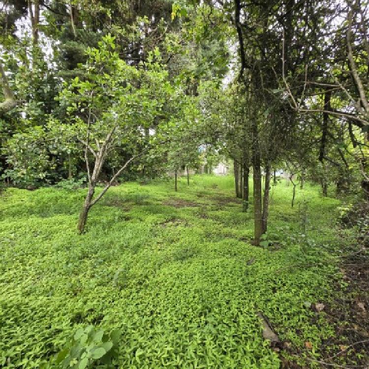 Terreno Comercial en Renta San Bartolomé Milpas Altas  