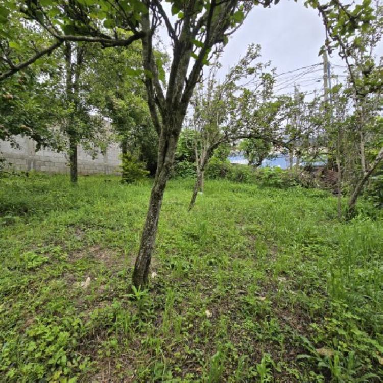 Terreno Comercial en Renta San Bartolomé Milpas Altas  