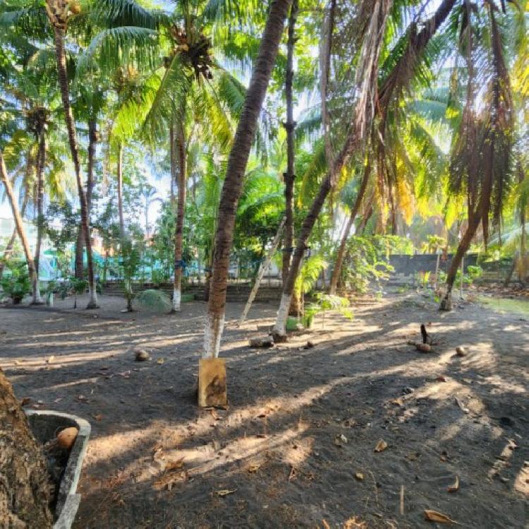 Cesión de Terreno Vacacional en OCRET Puerto San José