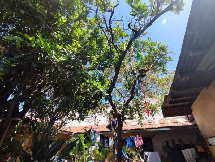 Casa en el Casco Urbano de Antigua Guatemala