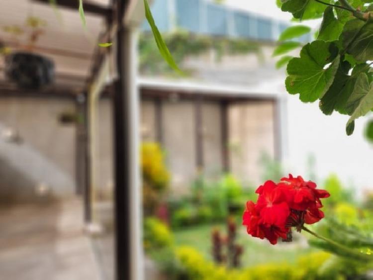 Casa en Renta San Cristóbal, de 4 habitaciones y jardín