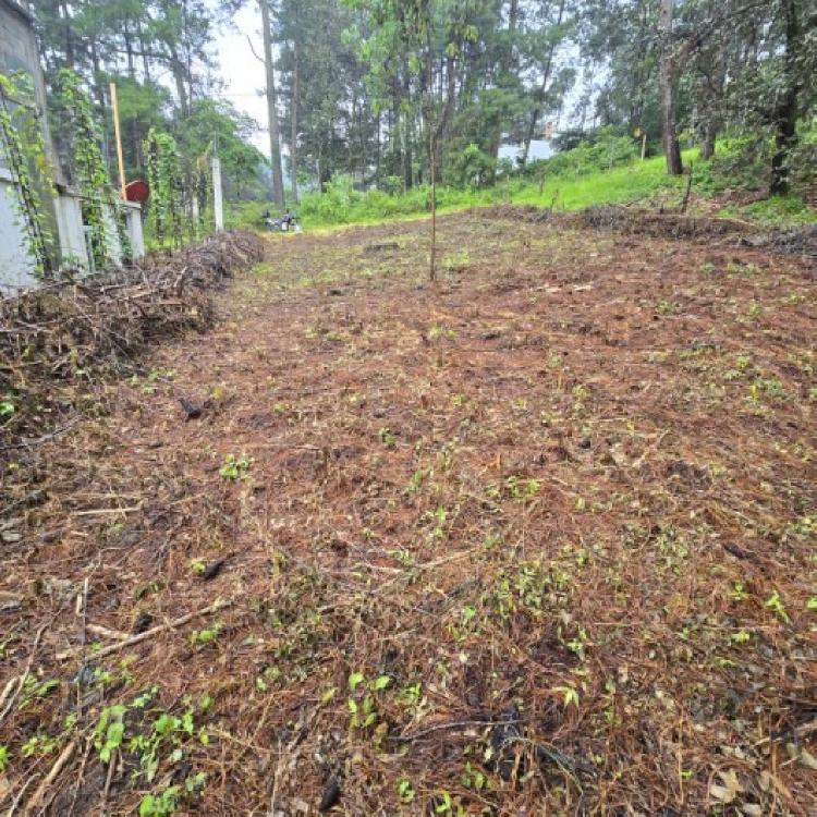 Terreno en Venta Hacienda Manzanales Santa María Cauque