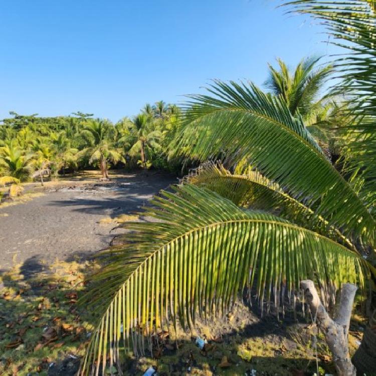 Cesión de Terreno Vacacional en OCRET Puerto San José